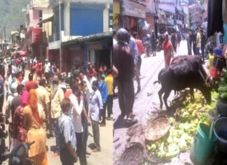 उत्तराखंड : जोशीमठ में बच्ची से छेड़छाड़ की घटना से गुस्साए लोगों ने दुकानों में की तोड़फोड़ Minor gir molested in Joshimath Angry people vandalized shops