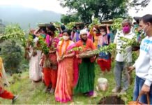 फलदार वृक्ष लगाकर ब्लॉक प्रमुख बीना राणा व महेंद्र राणा ने किया उत्तराखण्ड के लोक पर्व हरेला का शुभारंभ harela-festival-kaljikhal