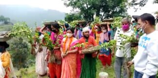 फलदार वृक्ष लगाकर ब्लॉक प्रमुख बीना राणा व महेंद्र राणा ने किया उत्तराखण्ड के लोक पर्व हरेला का शुभारंभ harela-festival-kaljikhal