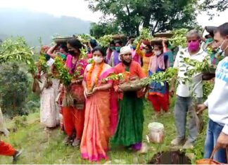 फलदार वृक्ष लगाकर ब्लॉक प्रमुख बीना राणा व महेंद्र राणा ने किया उत्तराखण्ड के लोक पर्व हरेला का शुभारंभ harela-festival-kaljikhal