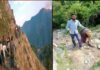 उत्तराखंड : गाँव से पैदल अस्पताल जा रही गर्भवती महिला ने रास्ते में ही दिया बच्चे को जन्म himrol-village-naugaon-uttarkashi