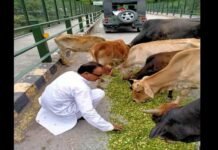 निराश्रित पशुओं की सेवा मे समर्पित, यमकेश्वर के पशुप्रेमी, समाजसेवी जगदीश भट्ट jagdish-bhatt