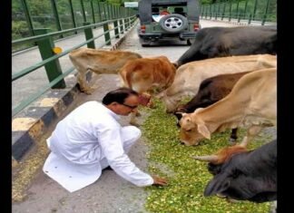 निराश्रित पशुओं की सेवा मे समर्पित, यमकेश्वर के पशुप्रेमी, समाजसेवी जगदीश भट्ट jagdish-bhatt