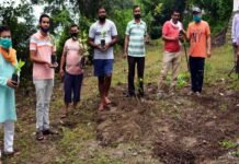 एक वृक्ष OPS के नाम कार्यक्रम के तहत राष्ट्रीय पुरानी पेंशन बहाली संयुक्त मोर्चा ने किया वृहद वृक्षारोपण massive-tree-plantation-under-ops