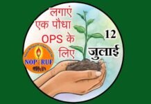 एक पेड़ पुरानी पेंशन के नाम, OPS संयुक्त मोर्चा 12 जुलाई को देशभर में करेगा वृहद वृक्षारोपण ops