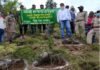 पौड़ी के ग्राम कफलना मे फलदार वृक्षो का वृक्षारोपण plantation