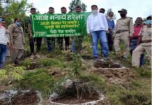 पौड़ी के ग्राम कफलना मे फलदार वृक्षो का वृक्षारोपण plantation