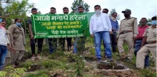 पौड़ी के ग्राम कफलना मे फलदार वृक्षो का वृक्षारोपण plantation