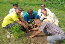 “एक पौधा-मेरा पौधा” थीम के साथ राजकीय इंटर कालेज हरिपुरकला में धूमधाम से मनाया गया हरेला पर्व plantation-at-gic-haripurkala raiwala