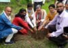 हरेला पर्व पर मनरेगा के तहत गढ़वाल सांसद, विधायक व ब्लॉक प्रमुख ने कल्जीखाल में लगाए फलदार वृक्ष plantation-at-kaljikhal