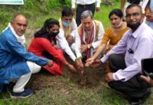 हरेला पर्व पर मनरेगा के तहत गढ़वाल सांसद, विधायक व ब्लॉक प्रमुख ने कल्जीखाल में लगाए फलदार वृक्ष plantation-at-kaljikhal