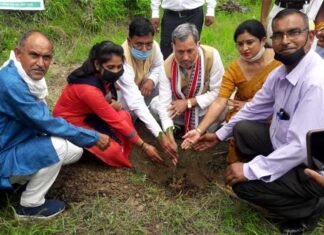 हरेला पर्व पर मनरेगा के तहत गढ़वाल सांसद, विधायक व ब्लॉक प्रमुख ने कल्जीखाल में लगाए फलदार वृक्ष plantation-at-kaljikhal