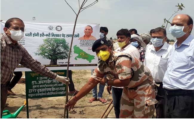 plantation-at-yamuna-area