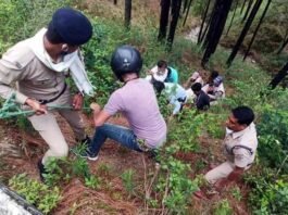 पौड़ी से श्रीनगर जा रही टाटा सूमो दुर्घटनाग्रस्त, दो घायल tata-sumo-accident-on-pauri-srinagar-road