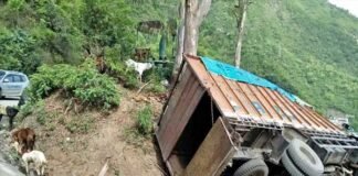 कोटद्वार-पौडी राष्ट्रीय राजमार्ग पर बकरियाँ से भरा ट्रक पलटा, 15 बकरियों की मौत