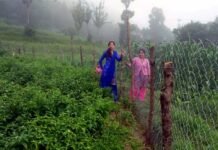 उत्तराखंड : पर्वतीय क्षेत्रों में जंगली सूअरों तथा बंदरों से खेती, बागवानी को बचाने के लिए जालीदार तार-बाड़ योजना के मिल रहे हैं अच्छे परिणाम Lattice wire fence scheme in uttarakhand