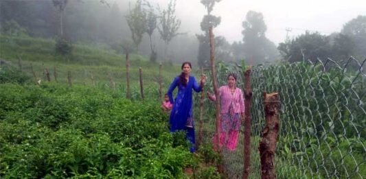 Lattice wire fence scheme in uttarakhand