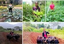 पहाड़ की बेटी बबीता रावत ने लिखी सब्जी और मशरूम उत्पादन की नई इबारत, गाँव में खुद हल लगाकर उगाती है ऑर्गेनिक सब्जियॉ Babita Rawat wrote a new chapter on vegetable and mushroom production