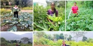 पहाड़ की बेटी बबीता रावत ने लिखी सब्जी और मशरूम उत्पादन की नई इबारत, गाँव में खुद हल लगाकर उगाती है ऑर्गेनिक सब्जियॉ Babita Rawat wrote a new chapter on vegetable and mushroom production