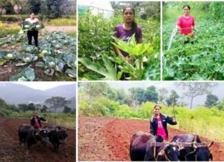 पहाड़ की बेटी बबीता रावत ने लिखी सब्जी और मशरूम उत्पादन की नई इबारत, गाँव में खुद हल लगाकर उगाती है ऑर्गेनिक सब्जियॉ Babita Rawat wrote a new chapter on vegetable and mushroom production