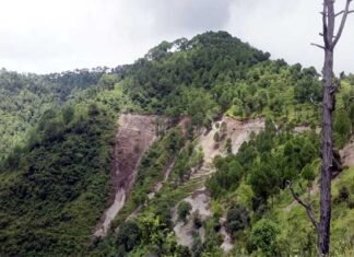 सड़क सुविधा से वंचित बगवानू गाँव के ग्रामीणों ने सांसद एवं क्षेत्रीय विधायक को पत्र लिखकर की मांग bagwanu-village