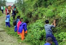 राष्ट्रीय सेवा योजना के स्वयंसेवियो ने चलाया स्वच्छता अभियान cleanliness campaign