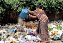 ग्रेटर नोएडा : खुले में कूड़ा डालने पर प्राधिकरण ने लगाया 10 हजार रूपये का जुर्माना, वीडियो वायरल होने के बाद प्राधिकरण ने लिया संज्ञान Greater Noida Authority imposed fine of Rs 10000 for dumping garbage in the open