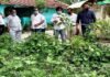 हल्द्वानी मे मीडिया सेंटर के लिए भूमि का चयन, जल्द बनेगा भव्य मीडिया सेन्टर भवन media centre in haldwani