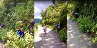 ग्रामीणों ने स्वैच्छिक श्रमदान कर सड़क किनारे की कटीली झाड़ियों को साफ कर लोनिवि को दिखाया आईना road-cleaning