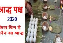 श्राद्ध पक्ष : आज से शुरू हो गया पूर्णिमा का श्राद्ध, अंतिम श्राद्ध सर्वपितृ अमावस्या 17 सितंबर को shradh-paksh