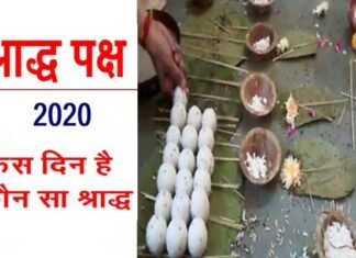 श्राद्ध पक्ष : आज से शुरू हो गया पूर्णिमा का श्राद्ध, अंतिम श्राद्ध सर्वपितृ अमावस्या 17 सितंबर को shradh-paksh
