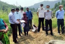 पौड़ी डीएम धीराज गर्ब्याल ने ग्राम सभा पैडूल में किया धान की फसल की क्रॉप कटिंग प्रयोग का स्थलीय निरीक्षण DM-Dhiraj-Singh-Garbial
