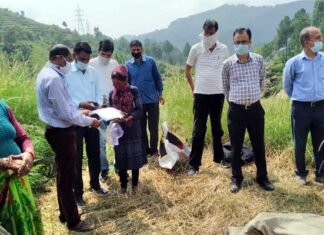 पौड़ी डीएम धीराज गर्ब्याल ने ग्राम सभा पैडूल में किया धान की फसल की क्रॉप कटिंग प्रयोग का स्थलीय निरीक्षण DM-Dhiraj-Singh-Garbial