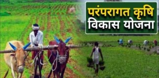 परम्परागत कृषि विकास योजना में नहीं हो रहा है स्वीकृत कार्ययोजना का अनुपालन Paramparagat Krishi Vikas Yojana