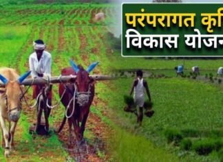 परम्परागत कृषि विकास योजना में नहीं हो रहा है स्वीकृत कार्ययोजना का अनुपालन Paramparagat Krishi Vikas Yojana