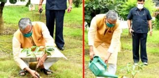 पीएम मोदी के जन्मदिन पर मनाये जा रहे ‘सेवा सप्ताह’ के तहत सीएम त्रिवेन्द्र ने मुख्यमंत्री आवास में वृक्षारोपण किया CM Trivendra planted a tree under PM Modi's birthday 'Seva Week'