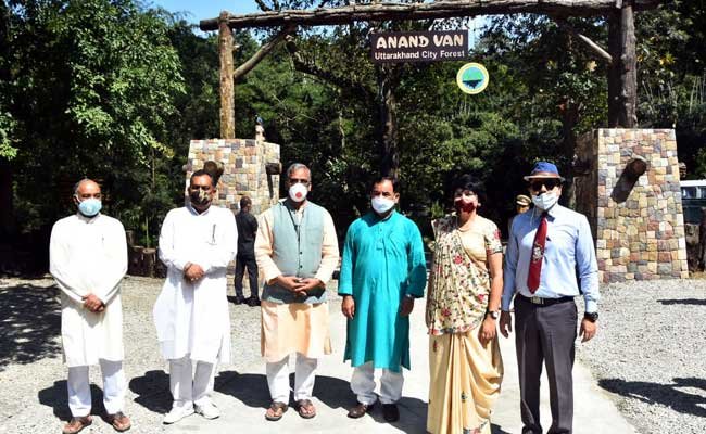 city-forest-anand-van