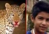 पौड़ी गढ़वाल : गुलदार ने 15 वर्षीय बालक को दिनदहाड़े बनाया निवाला, ग्रामीणों में दहशत, गुलदार को पकड़ने की मांग eopard-killed-boy-in-Pauri