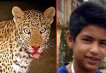 पौड़ी गढ़वाल : गुलदार ने 15 वर्षीय बालक को दिनदहाड़े बनाया निवाला, ग्रामीणों में दहशत, गुलदार को पकड़ने की मांग eopard-killed-boy-in-Pauri