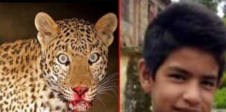 पौड़ी गढ़वाल : गुलदार ने 15 वर्षीय बालक को दिनदहाड़े बनाया निवाला, ग्रामीणों में दहशत, गुलदार को पकड़ने की मांग eopard-killed-boy-in-Pauri