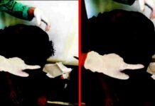 पौड़ी गढ़वाल : दुष्कर्म में असफल रहने पर पत्थर से फोड़ा छात्रा का सर man-stabbed-the-student's-head