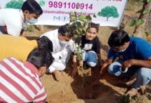 पेड़ बचाओ पेड़ लगाओ, पानी बचाओ, जीवन बचाओ, बेटी बचाओ, बेटी पढाओ save-tree