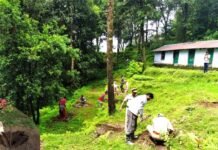 पहाड़ी क्षेत्रों में शीतकाल में सेब, आड़ू, प्लम, खुबानी, नाशपाती व अखरोट आदि फल पौध रोपण पर विस्तृत जानकारी Planting of apple fruit