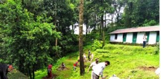पहाड़ी क्षेत्रों में शीतकाल में सेब, आड़ू, प्लम, खुबानी, नाशपाती व अखरोट आदि फल पौध रोपण पर विस्तृत जानकारी Planting of apple fruit