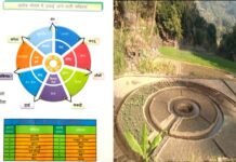 पौड़ी डीएम की सराहनीय पहल, जिले के 15 ब्लॉकों में विकसित किये जा रहे हैं न्यूट्री गार्डन (पोषण वाटिका) Nutri-Gardens-in-pauri-district