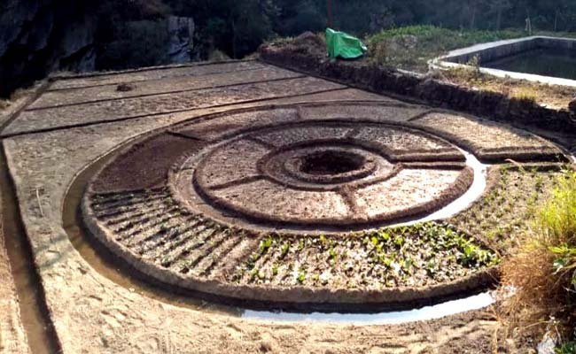 Nutri-Gardens-in-pauri