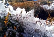 उत्तराखंड : इन 5 जिलों में बारिश और बर्फबारी का अलर्ट, बदरीनाथ धाम में जीरो डिग्री से नीचे पहुंचा तापमान Rain and snowfall alert