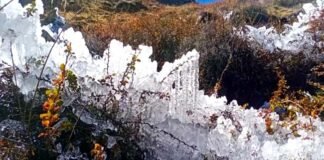 उत्तराखंड : इन 5 जिलों में बारिश और बर्फबारी का अलर्ट, बदरीनाथ धाम में जीरो डिग्री से नीचे पहुंचा तापमान Rain and snowfall alert