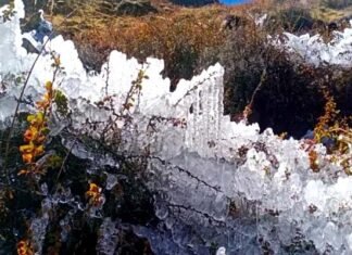 उत्तराखंड : इन 5 जिलों में बारिश और बर्फबारी का अलर्ट, बदरीनाथ धाम में जीरो डिग्री से नीचे पहुंचा तापमान Rain and snowfall alert