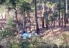 उत्तराखंड : दर्दनाक हादसा, खाई में गिरी मैक्स, 2 लोगों की मौत, 8 घायल Tragic accident in Almora, Uttarakhand, Max falls into a ditch